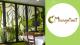 Top Soy Free Restaurants - Eating Out With Soy Allergy